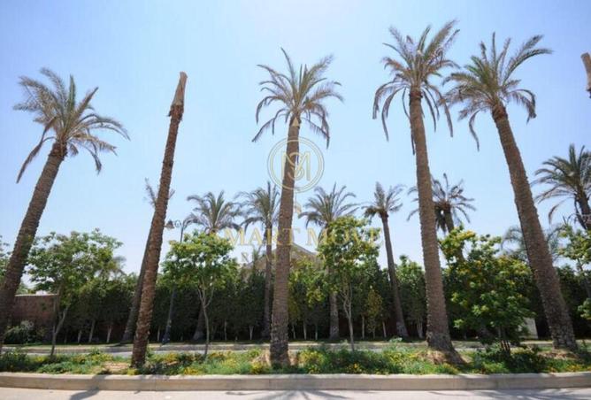 8534982 - صورة العقار 3