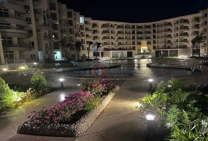 117264419 - Property Image 3