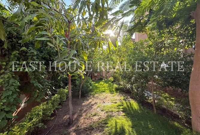 66433739 - صورة العقار 2