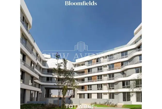 112989474 - Property Image 3