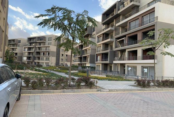 66174405 - Property Image 2