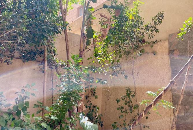 57989873 - Property Image 2