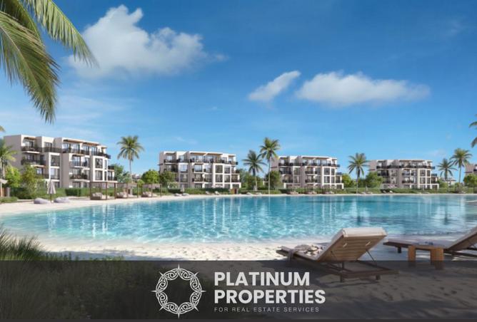 61679798 - Property Image 2