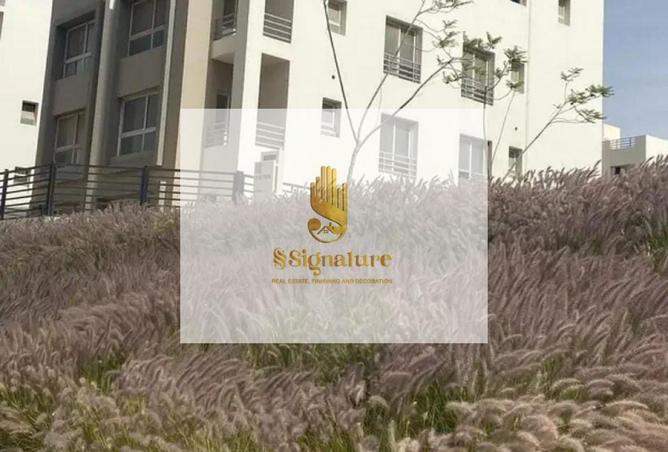 56499051 - Property Image 3