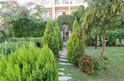 Apartment - 2 Bedrooms - 1 Bathroom for rent in Privado - Madinaty - Cairo