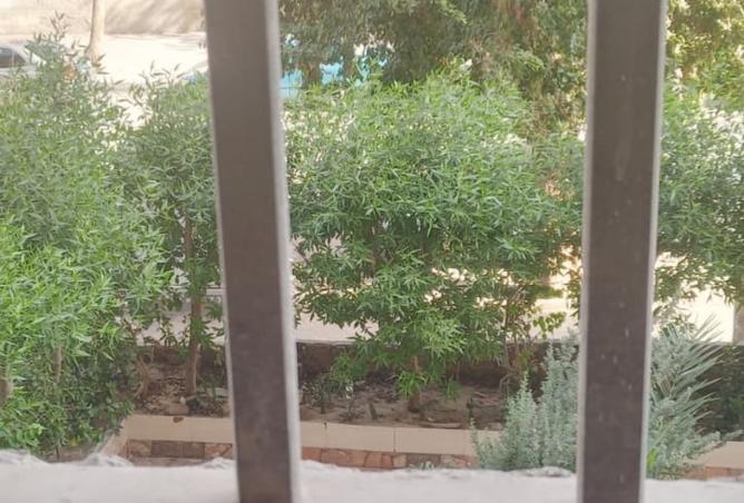 8500164 - صورة العقار 2