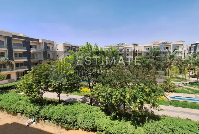 116748280 - Property Image 2