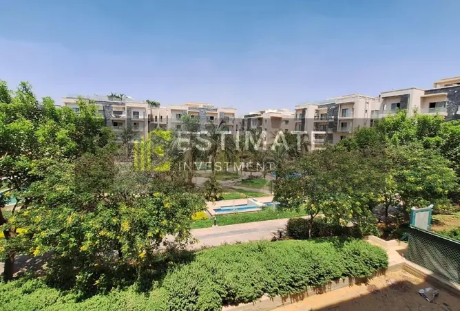 116748280 - Property Image 3