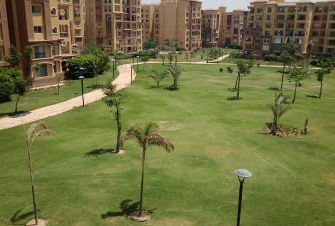 8624803 - الصورة الرئيسية للعقار