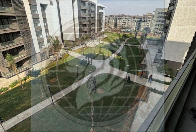 75667596 - Property Image 3