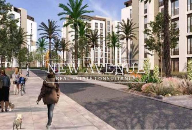 65923453 - صورة العقار 3