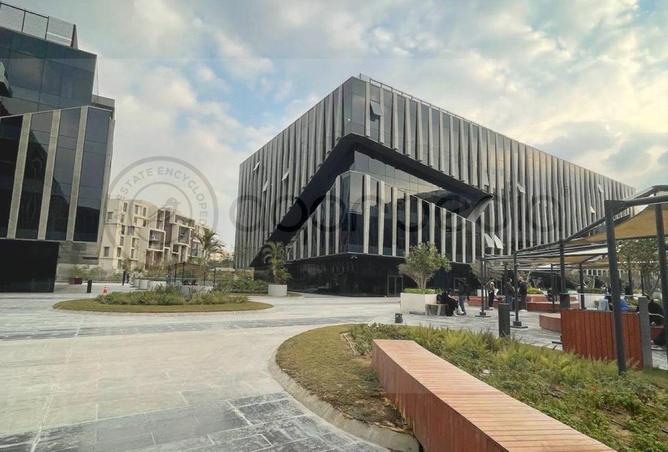 66431135 - Property Image 3