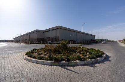 قطعة أرض - استوديو للبيع في مدينة السادات - مدينة المنوفية - المنوفية