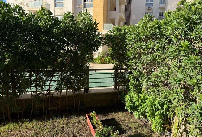 62886745 - Property Main Image