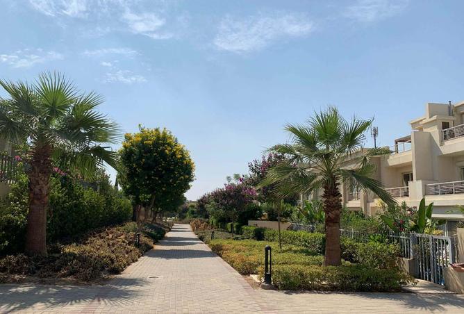 59251504 - صورة العقار 3