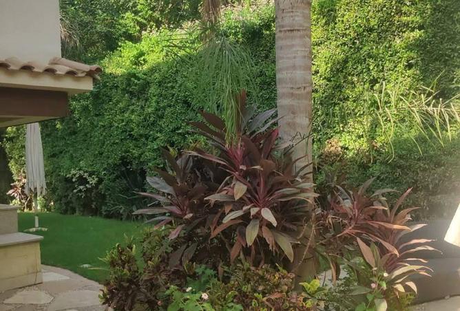 66421658 - صورة العقار 3