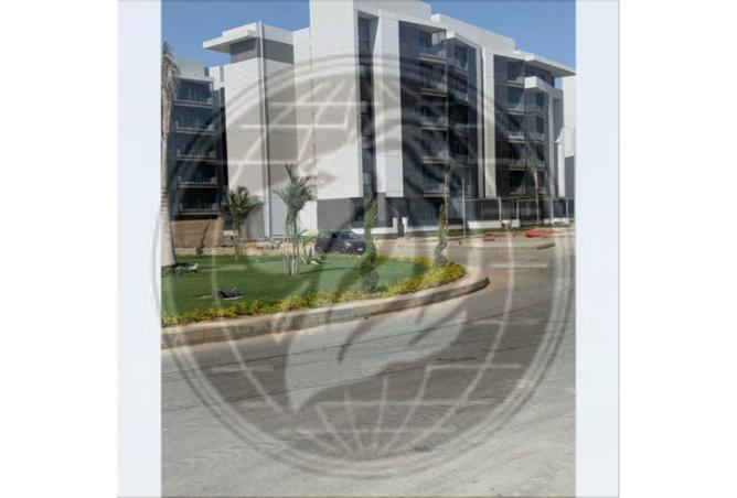 79719265 - صورة العقار 2