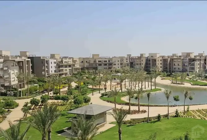 118542699 - صورة العقار 3