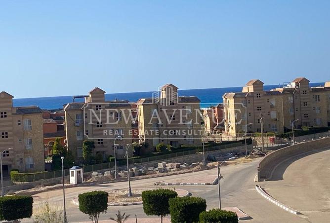 77051158 - صورة العقار 2