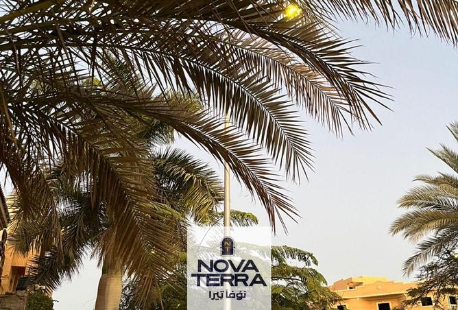 55251674 - صورة العقار 2