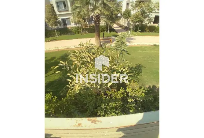 118294855 - صورة العقار 3
