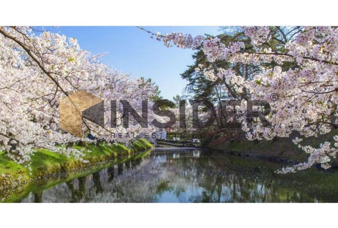 8605299 - Property Main Image