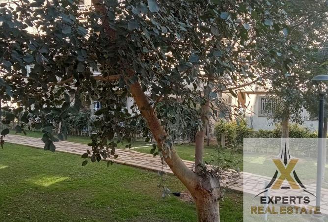 8559037 - صورة العقار 2