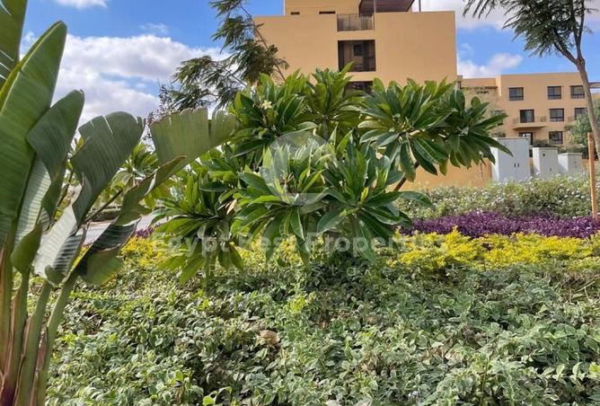 8719052 - صورة العقار 3