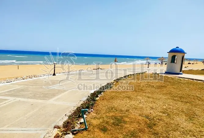 113538641 - صورة العقار 3