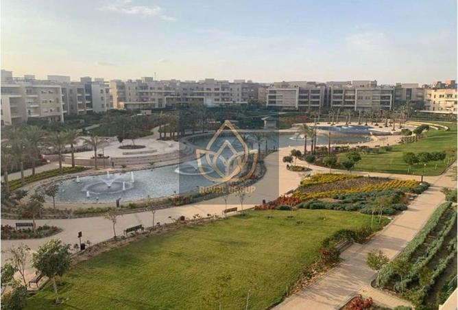 8533802 - Property Image 2