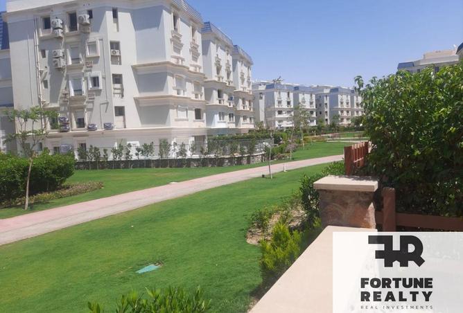 54494931 - Property Image 3