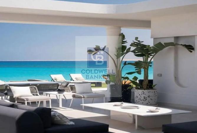 65164119 - Property Image 3