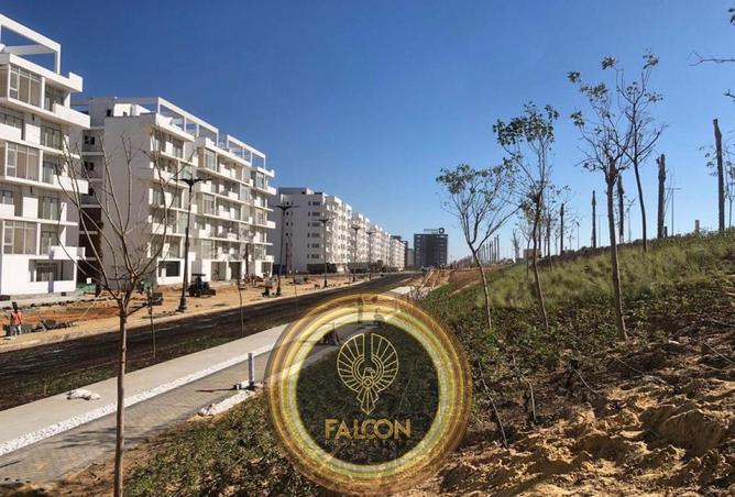 8416850 - صورة العقار 3