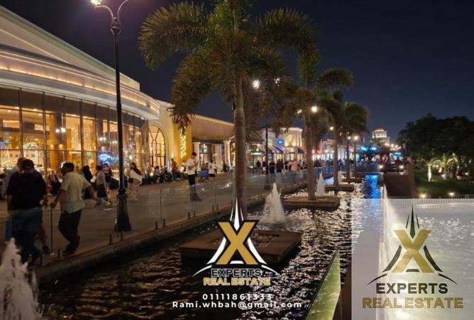 53988096 - Property Image 3