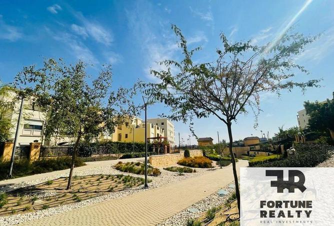 67730016 - Property Image 3