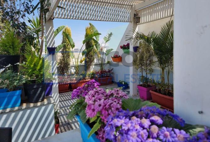 52184810 - صورة العقار 2