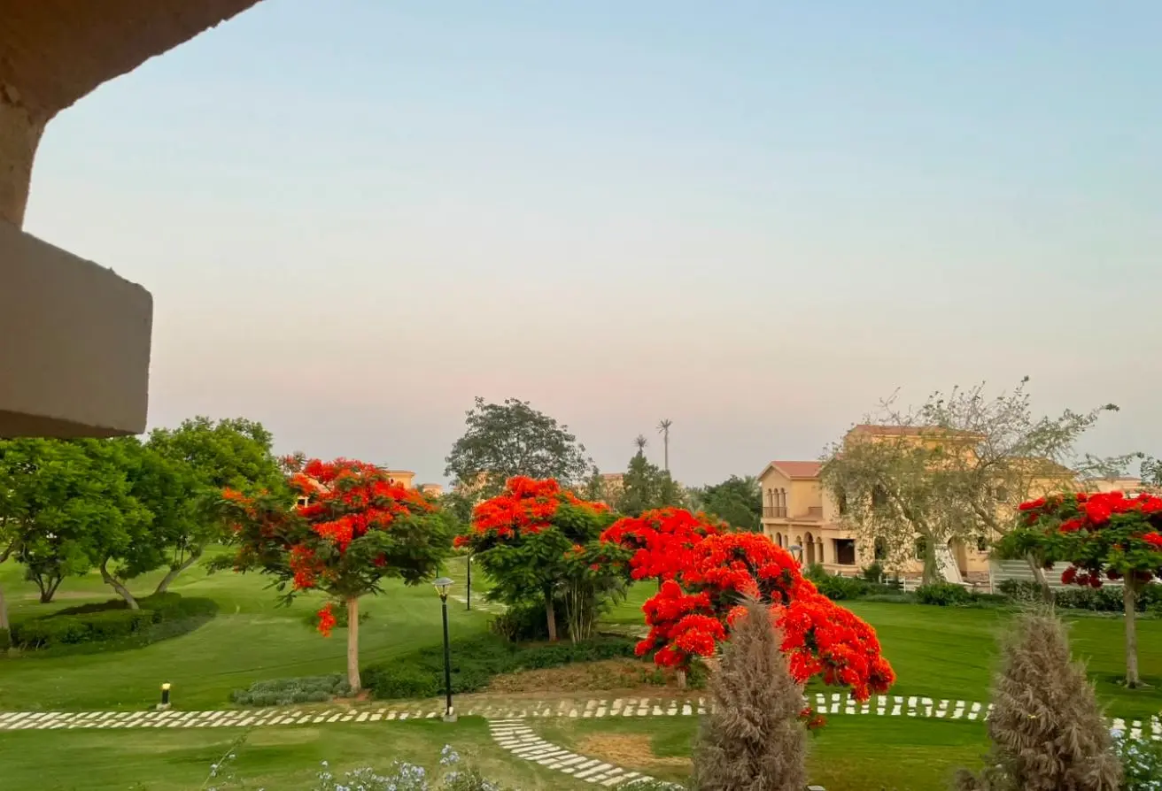 118813235 - الصورة الرئيسية للعقار