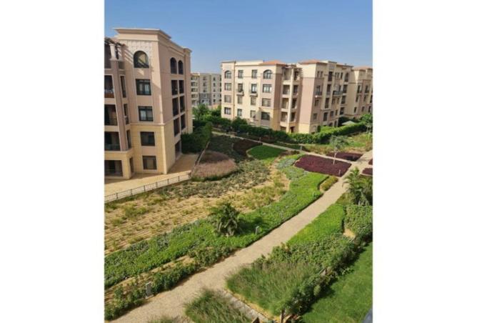 62895051 - Property Image 2