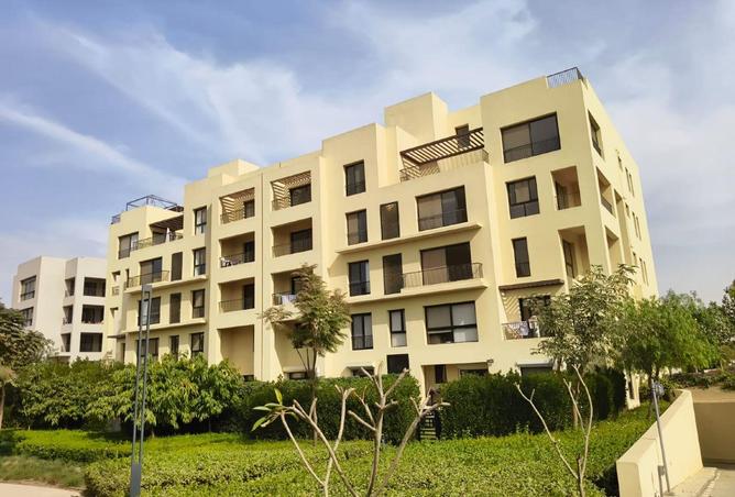 58242965 - صورة العقار 2