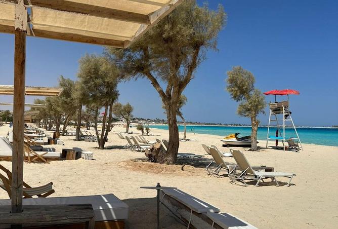 67738349 - الصورة الرئيسية للعقار