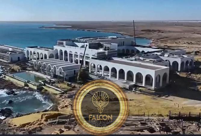 62891273 - صورة العقار 3