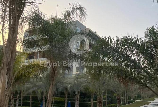 56248535 - Property Image 3