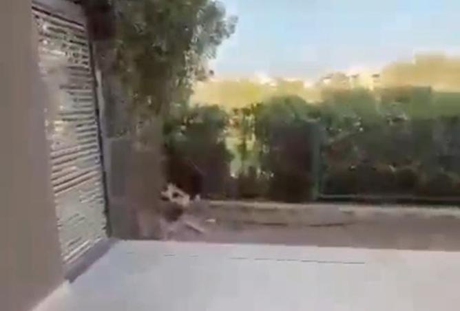 99111606 - صورة العقار 2