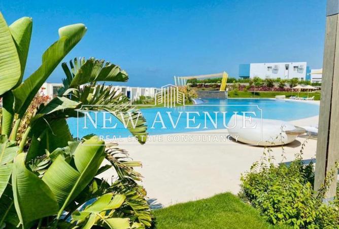 56251655 - الصورة الرئيسية للعقار