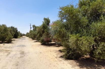 قطعة أرض - استوديو للبيع في نيو جيزة - طريق مصر اسكندرية الصحراوي - مدينة 6 أكتوبر - الجيزة