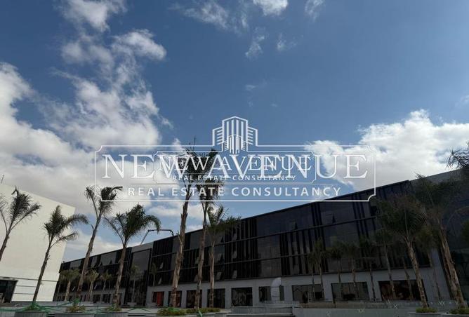 53473145 - Property Image 2