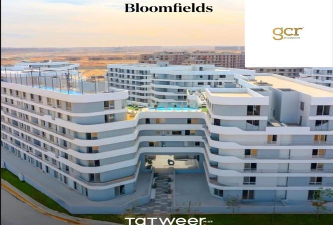 70877637 - Property Image 3