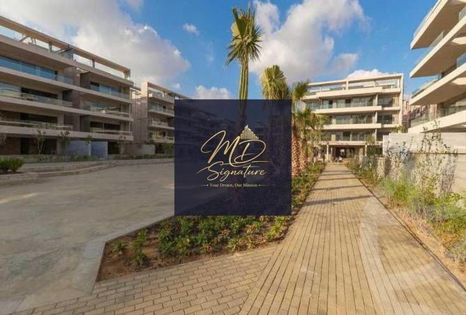 64386812 - Property Image 3