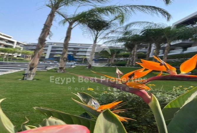 70634579 - صورة العقار 3