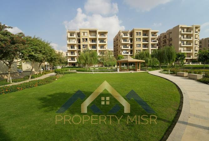 105737793 - Property Image 3